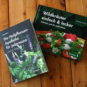 Umschlaggestaltung Grafik und Buchherstellung für Synergia Umschlaggestaltung Grafik und Buchherstellung für Synergia