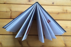 Kleines_Handbuch_fuer_Glasperlenspieler_Umschlag_Bindung_Fontfront_Synergia_2