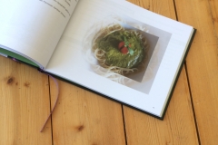 Backen_und_Kochen_mit_Lupinen_Innenteil-2_synergia_fontfront_rossdorf_gestaltung_layout